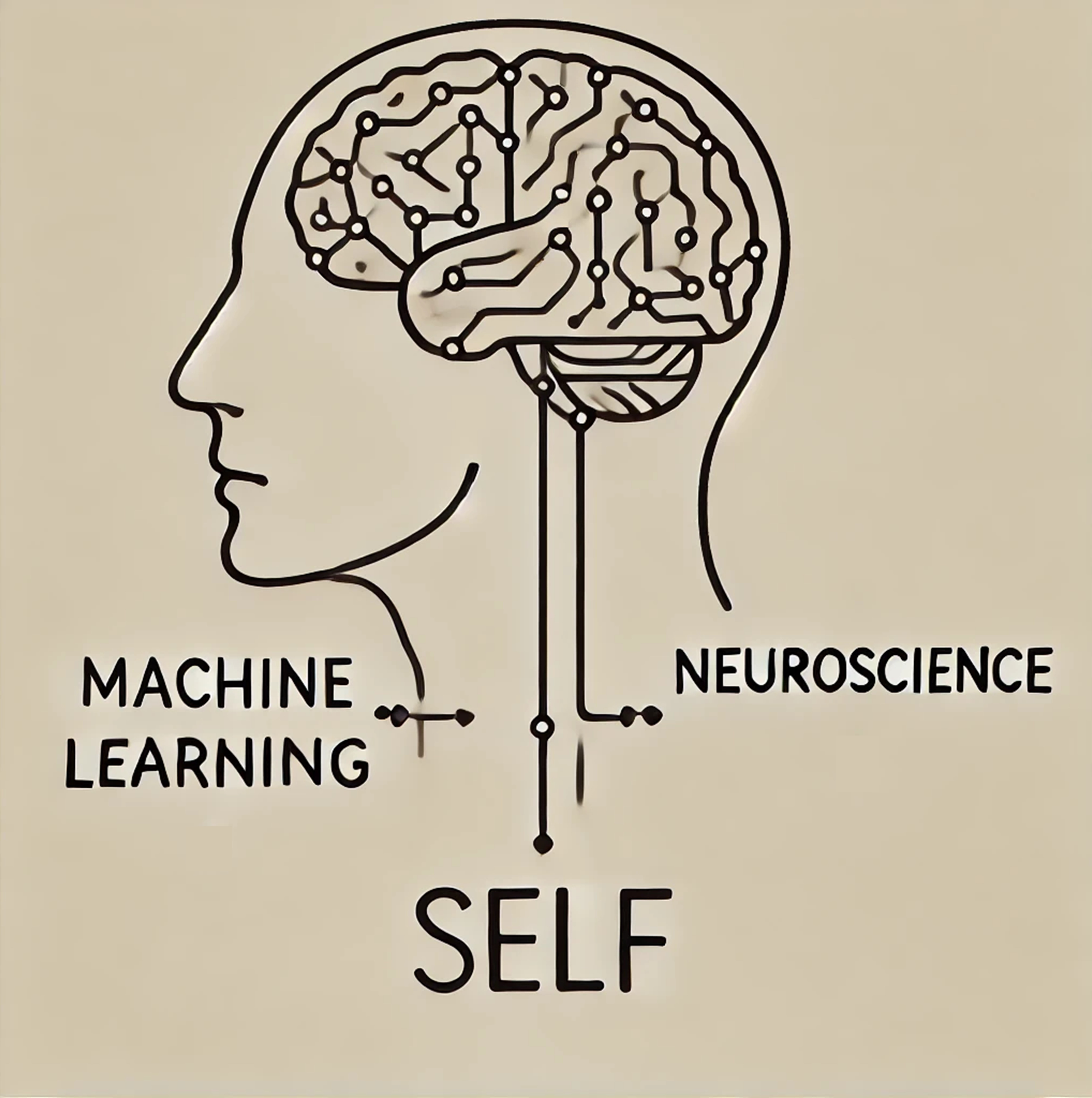 Research interest